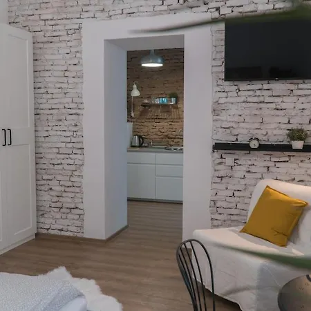 City Center Festival Apartment Cluj-Napoca Exterior photo